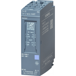 6DL1134-6TB00-0HX1
