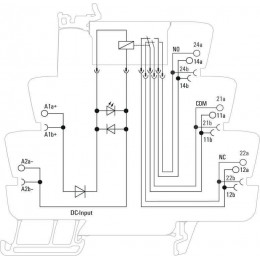 TRZ 24VDC 2CO AU