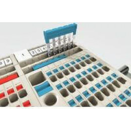 AAP12 10 FE