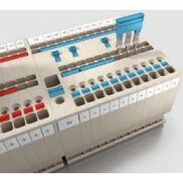 AAP21 4 LI BL/OR